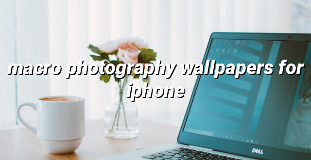 macro photography wallpapers for iphone