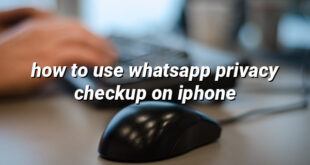 how to use whatsapp privacy checkup on iphone