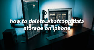 how to delete whatsapp data storage on iphone