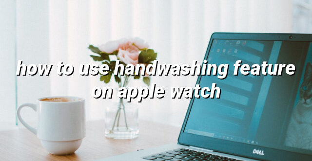 how to use handwashing feature on apple watch